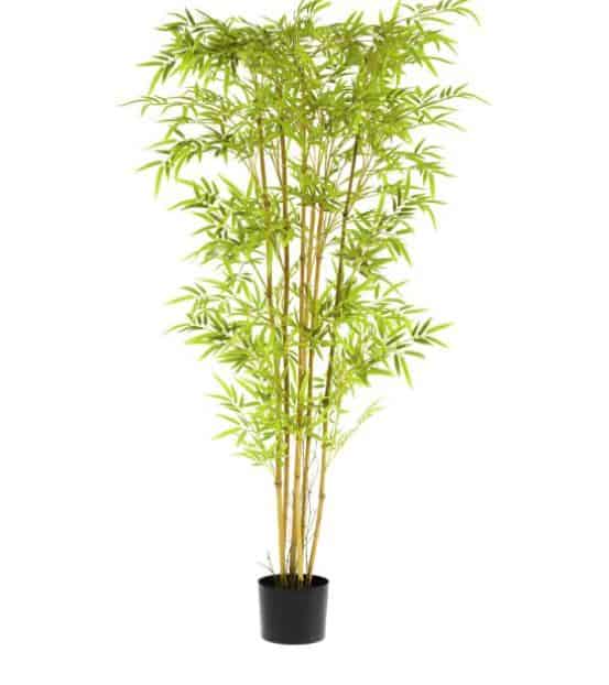 pianta artificiale bambù